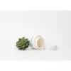 Dr. Spiller Ľahký krém s alpským aloe 50ml