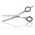 Iwasaki Sfilzino riedukčné holiace nožnice 6 32 zubov